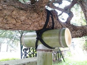 竹で頬杖支柱-便利屋奈良