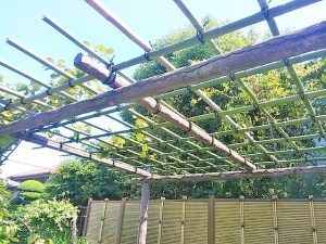 竹の果樹棚の修理-便利屋奈良
