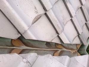 repair roof 2