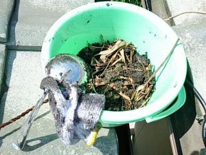 雨どいから除去した屑